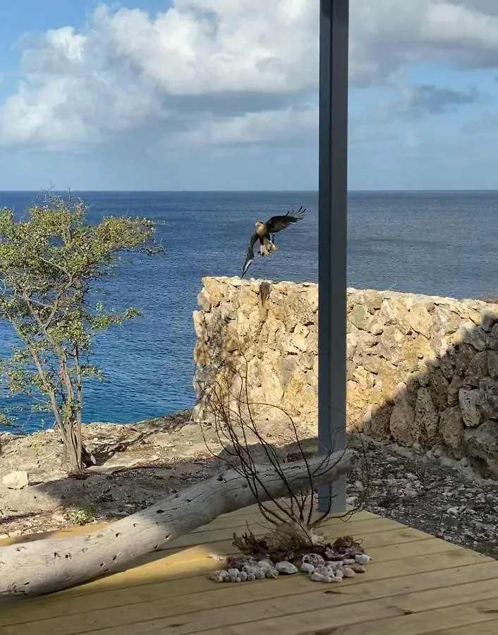 Sol Patch At Jeremi #1 Apartment Lagun Curacao